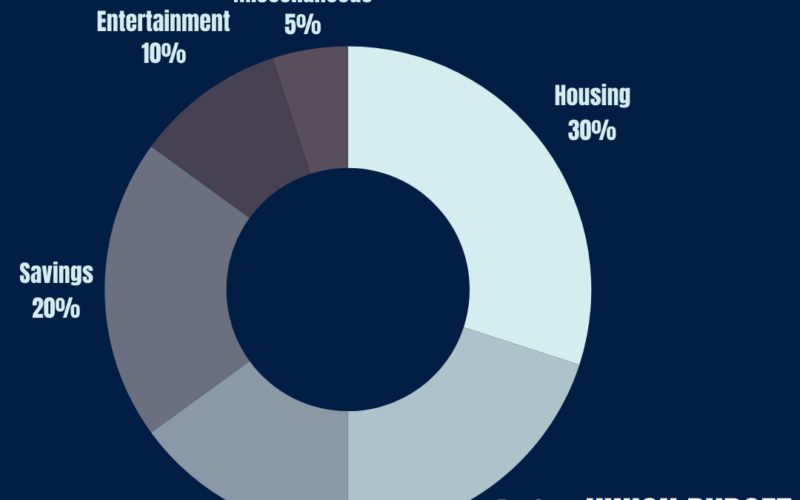 Blue and White Budget Pie Chart Instagram Post